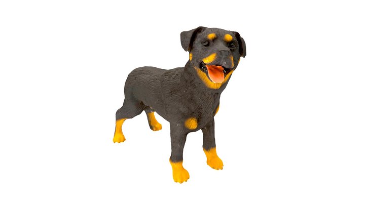 ร็อตไวเลอร์ (Rottweiler) 3D Model