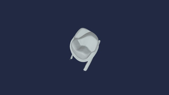 PFM #14 - 1 3D Model