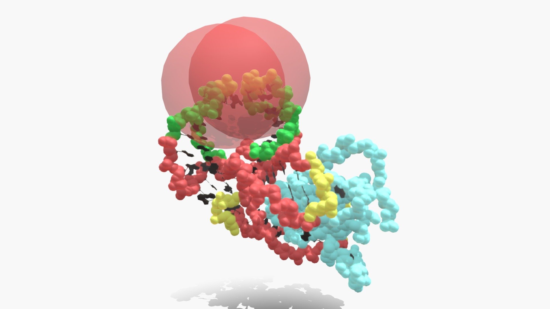 L1R1-BM-occluded