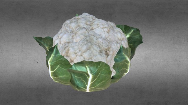 cauliflower 3D Model