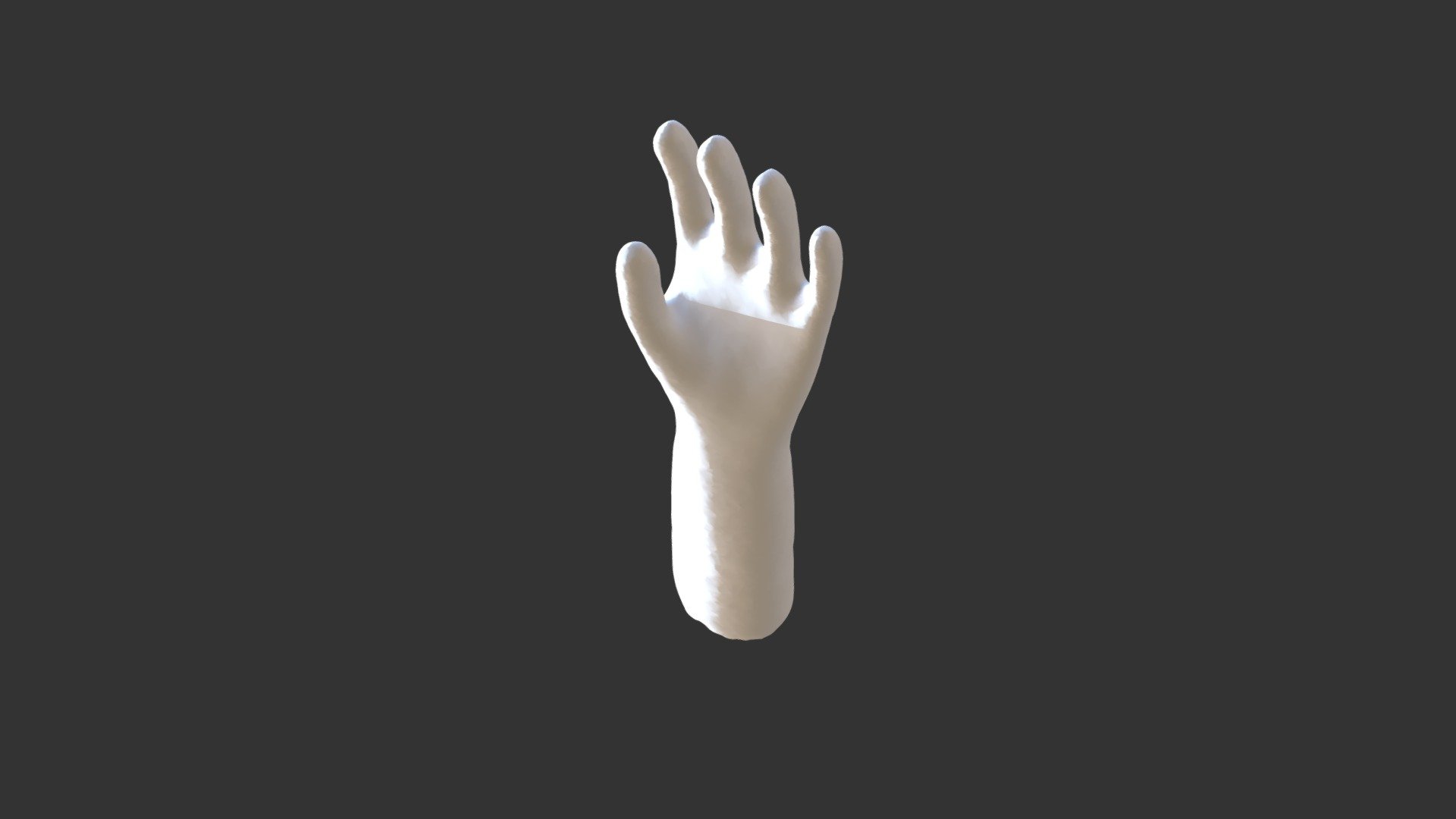 Model Mesh Hand