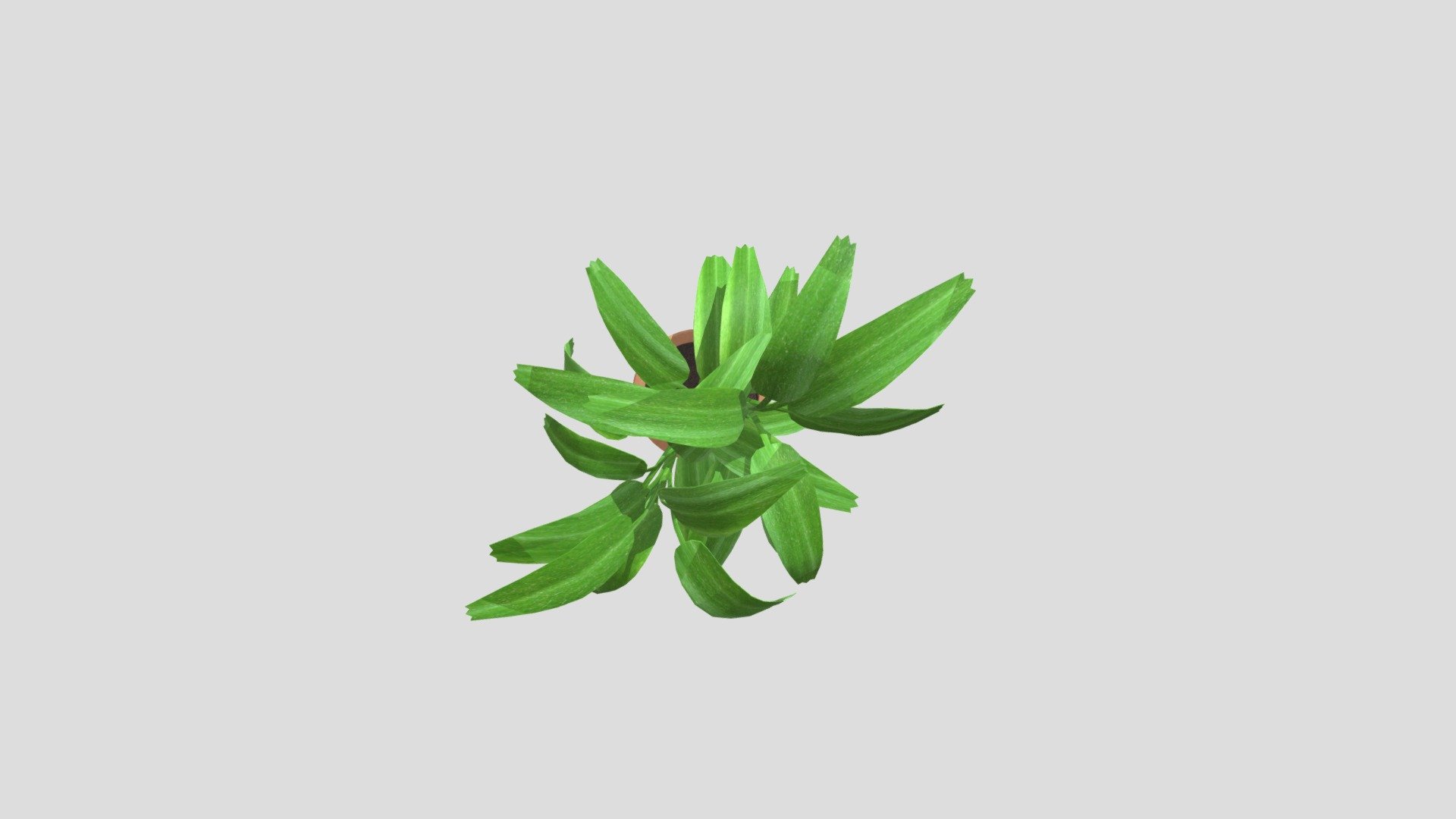 Floor Plant done