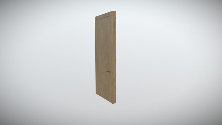 Flush Door Single 3D Model
