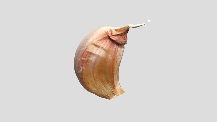 Suan 3D Model