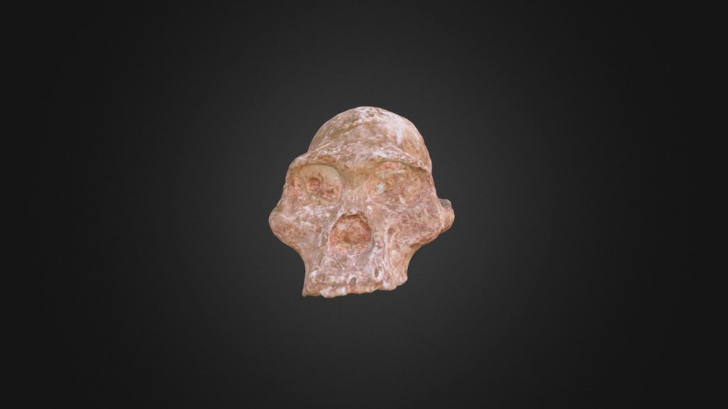 STS 5 — Sketchfab embed 3D viewer