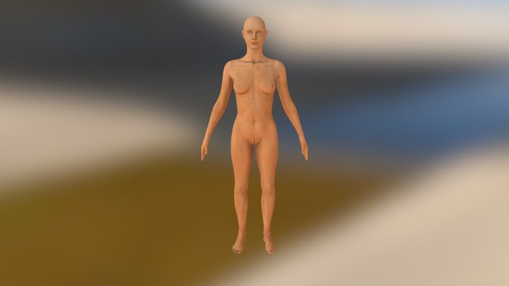 Female_Anatomy 3D Model