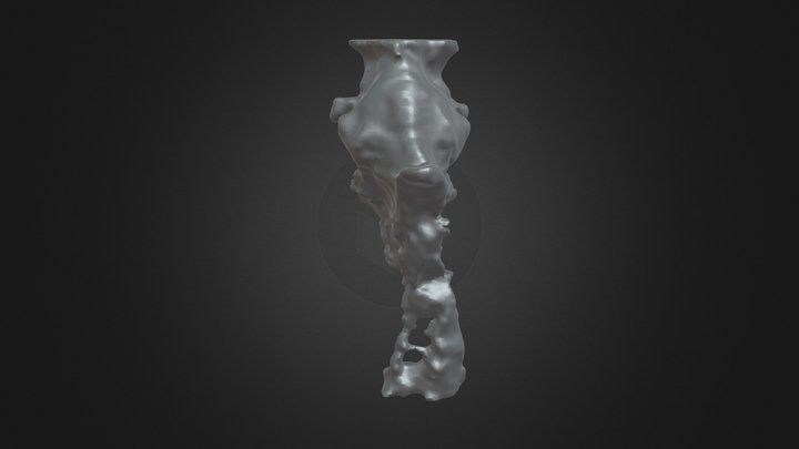 Santagnathus mariensis Encephalon 3D Model