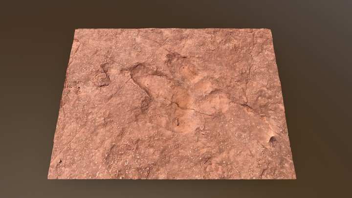 Dinosaur Footprint (Dilophosaurus) #1 3D Model