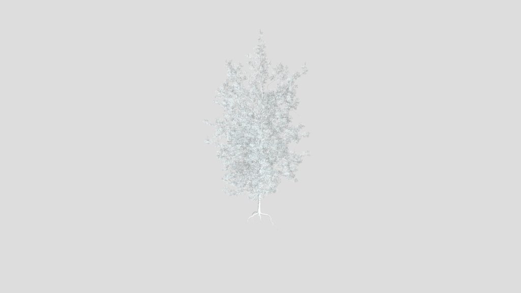 Sj Optimized Pine Tree Model