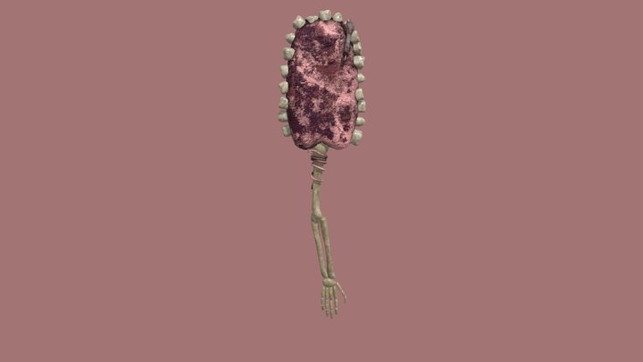 Gravetongue 3D Model