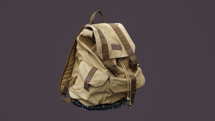 Backpack Photogrammetry 3D Model