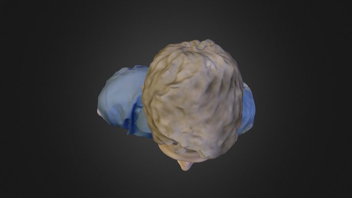 Ian 3D Model