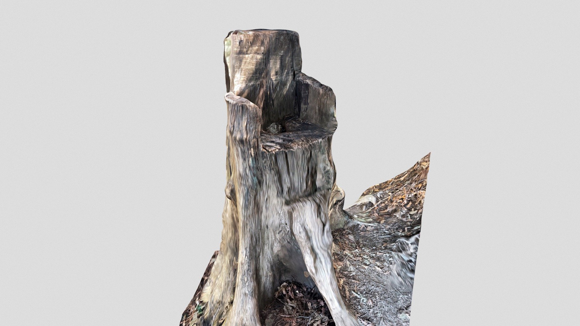 Day 107: Wooden throne - 1scanaday