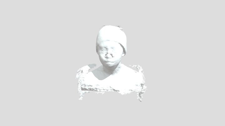 3dscan2 3D Model