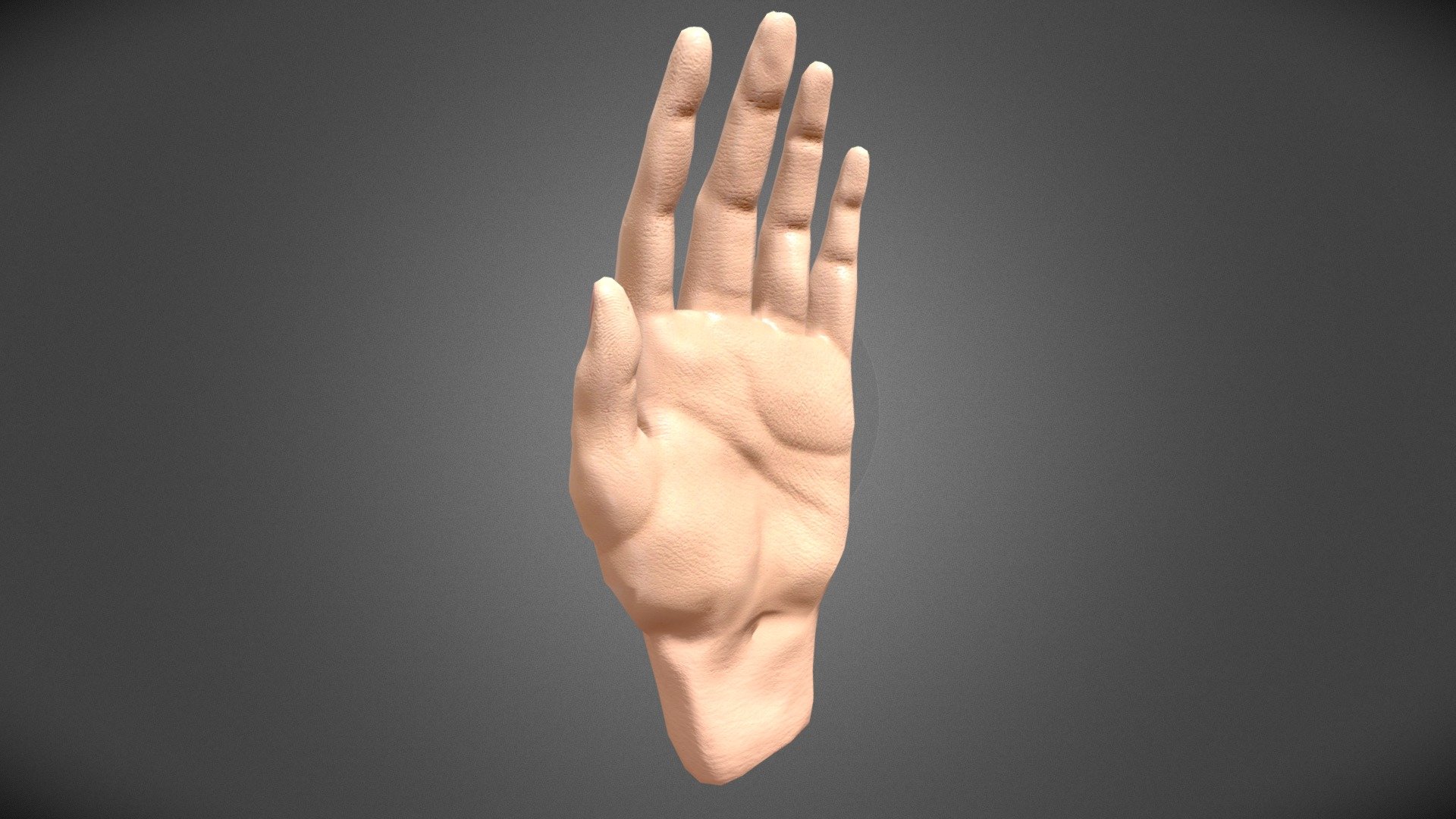 Hand - 3d Model By Brewoliverin [b80f736] - Sketchfab