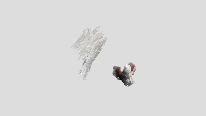 Untitled Scan 3D Model