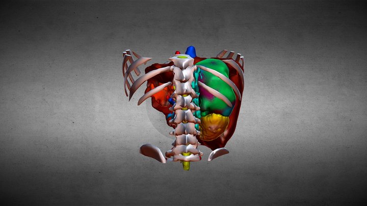 FAB 3D Model