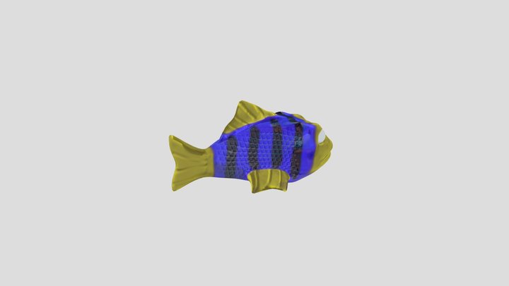 Yellow-Purple Fish 3D Model