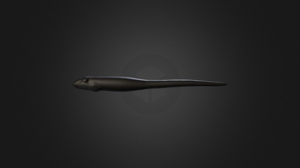 Silicone fish