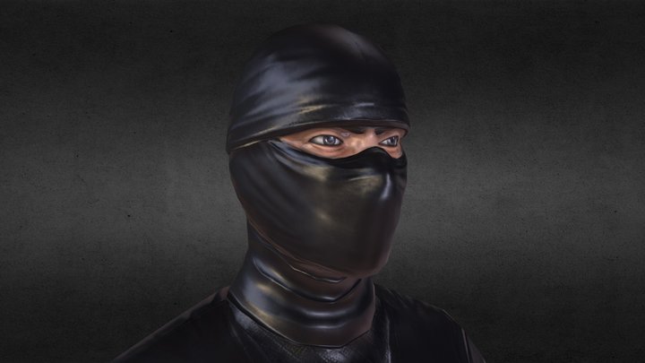 Ninja 3D Model
