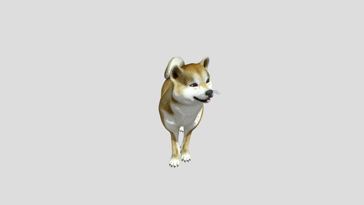 Baby Dog 3D Model