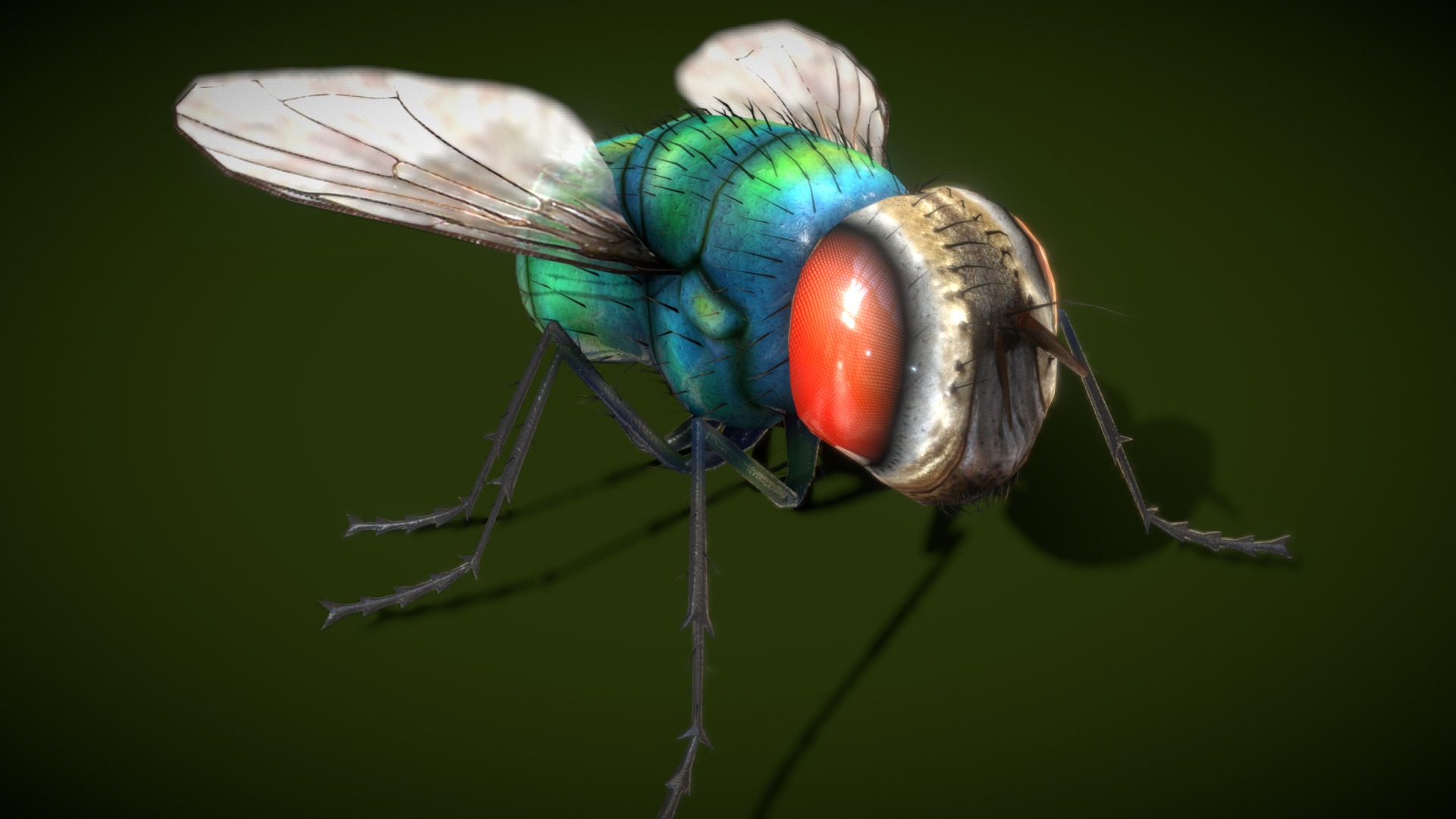 3D model Housefly Lowpolys 3D - This is a 3D model of the Housefly Lowpolys 3D. The 3D model is about a close up of a fly.