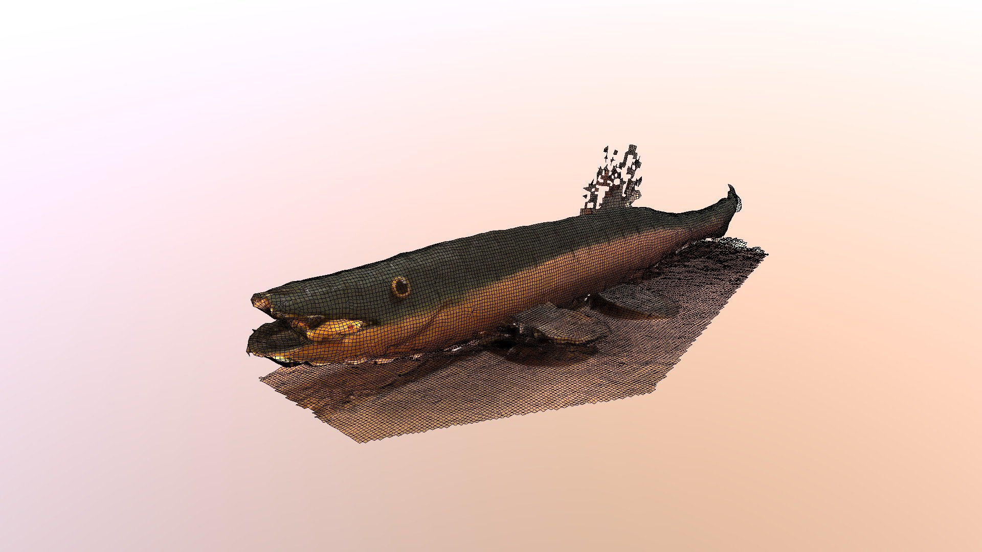 Fish Scan 007