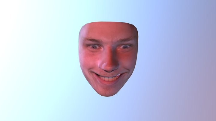 Head 3D Model
