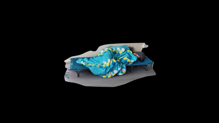 Sleeping Ben 300k 3D Model