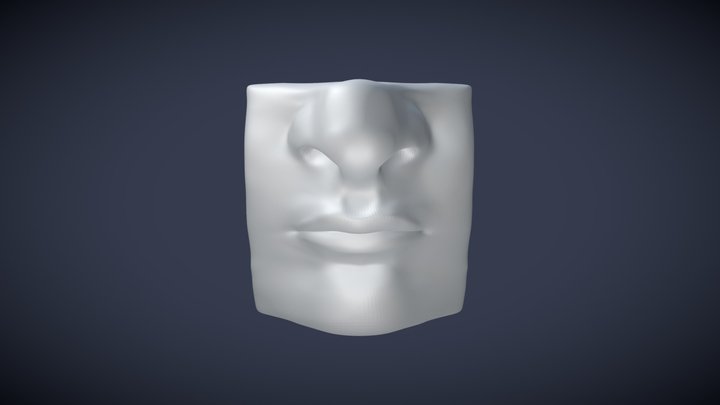 Sculpted Faceslice 3D Model
