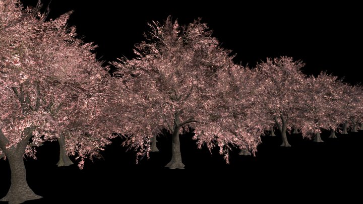 100 Japanese Cherry Trees Pack (low-Poly) 3D Model