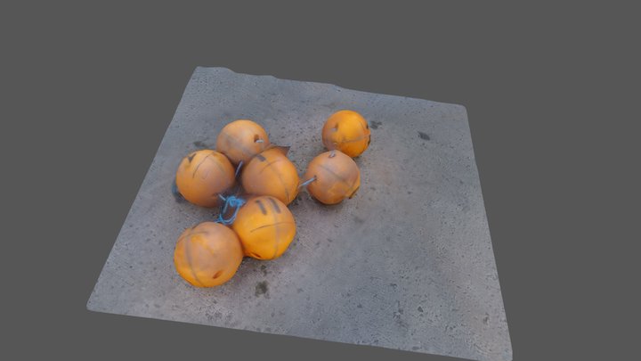 Ft_Buoys 3D Model