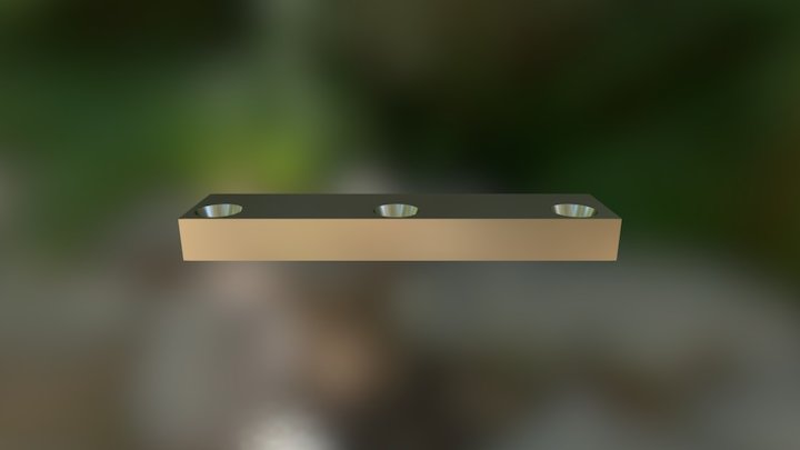 Magnetic Shoelace 3D Model