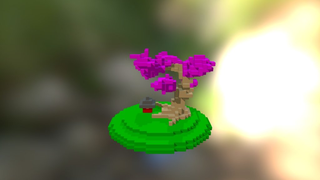 Cherry Blossom