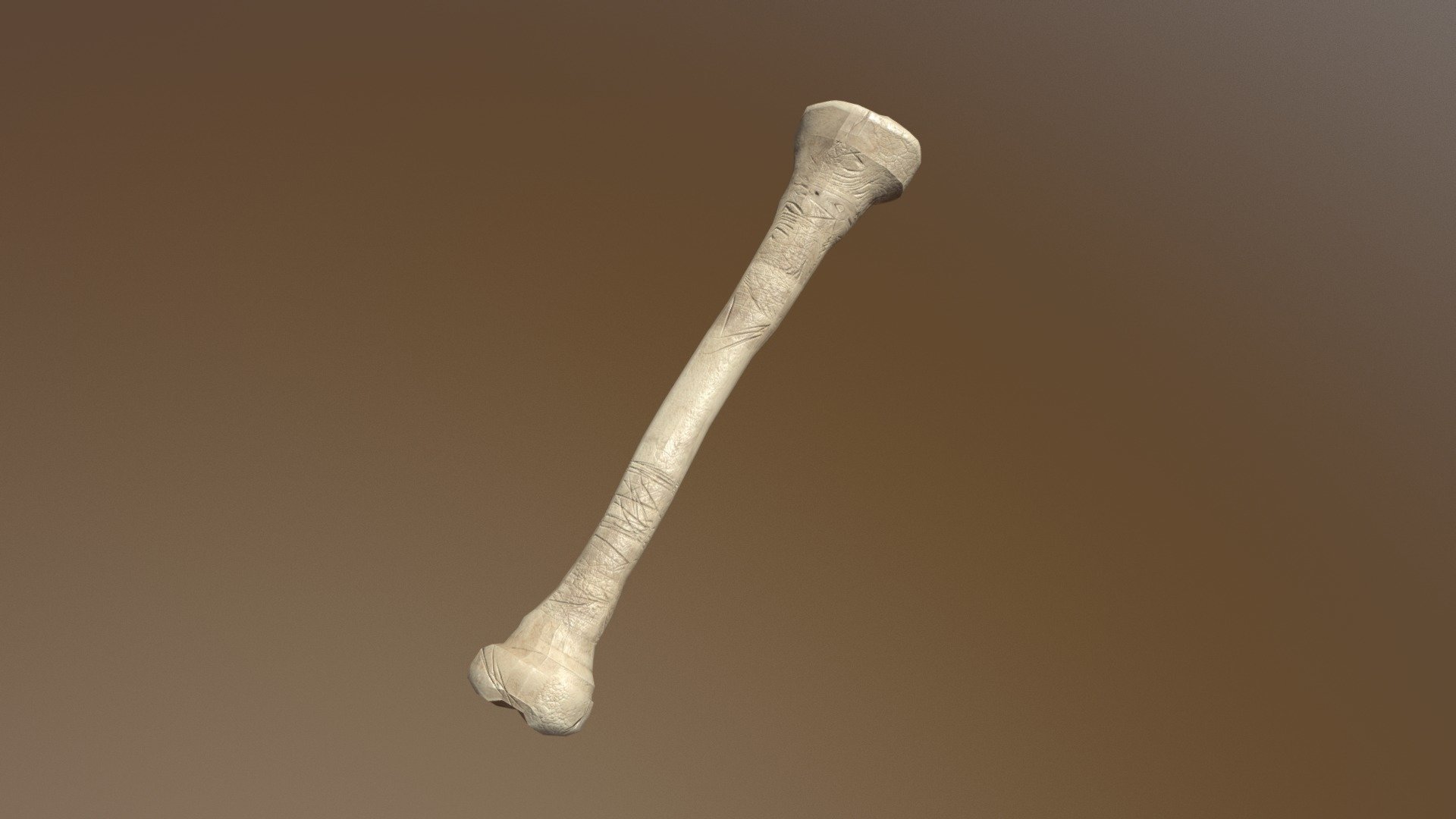 boneBig - 3D model by farrahgembutis [b832b5d] - Sketchfab