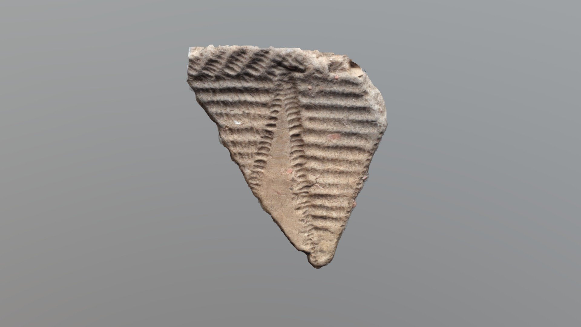 Neolithic rimsherd decorated with cord