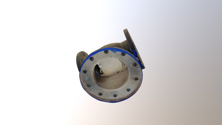 Pomona Manifold 3D Model