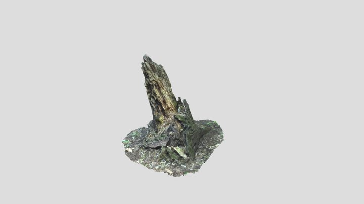 Natural Tree Stump 3D Model