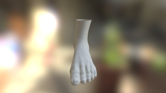 Foot Testando 3D Model