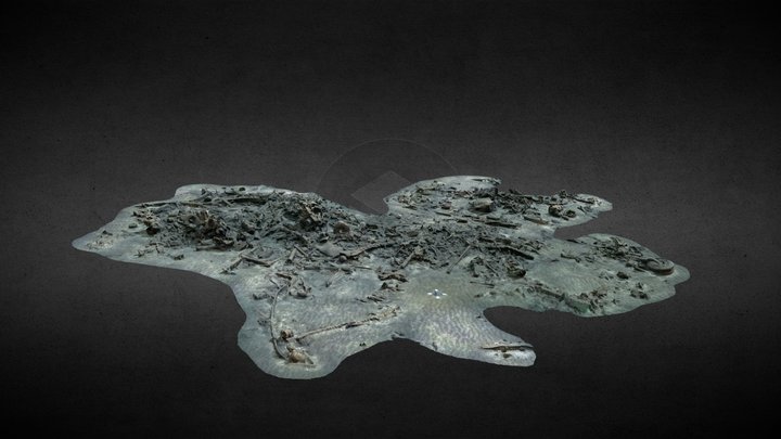 Wreck of an Avro Lancaster Mk2 bomber 3D Model