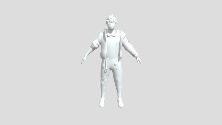 1 3D Model