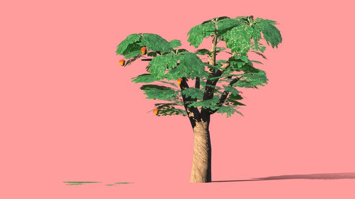 Stylized Arbol de mango 3D Model