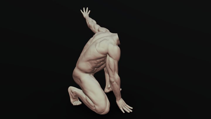 Male Full Body Sculpt Pose 5 3D Model