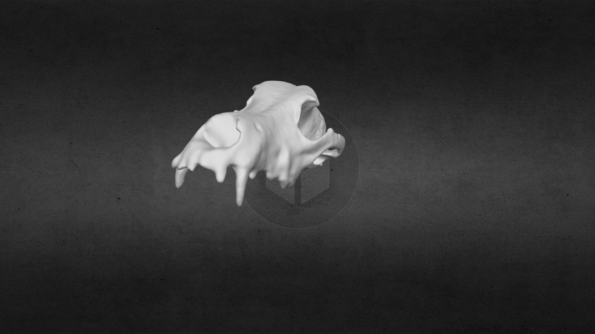 3d scanned a skull of dog