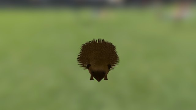 Hedgehog 3D Model