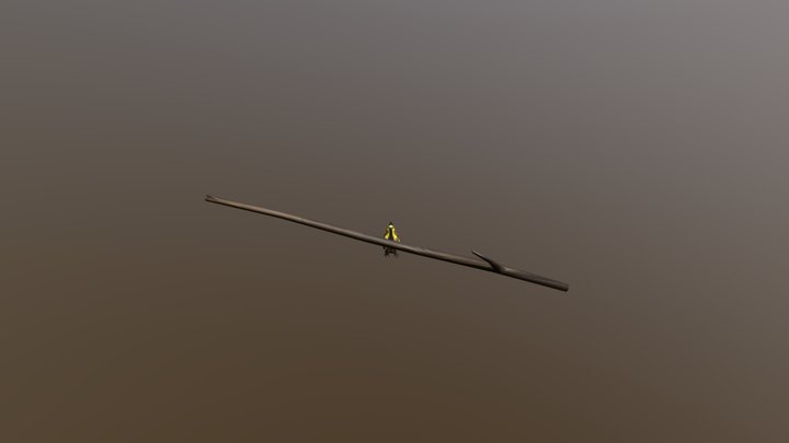 Cardenal Amarillo / Yellow cardinal on a wrench