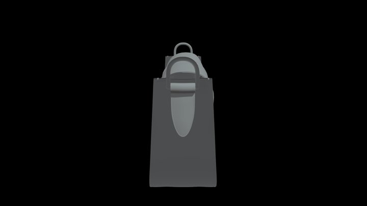 Borsa_n1_Tod's 3D Model