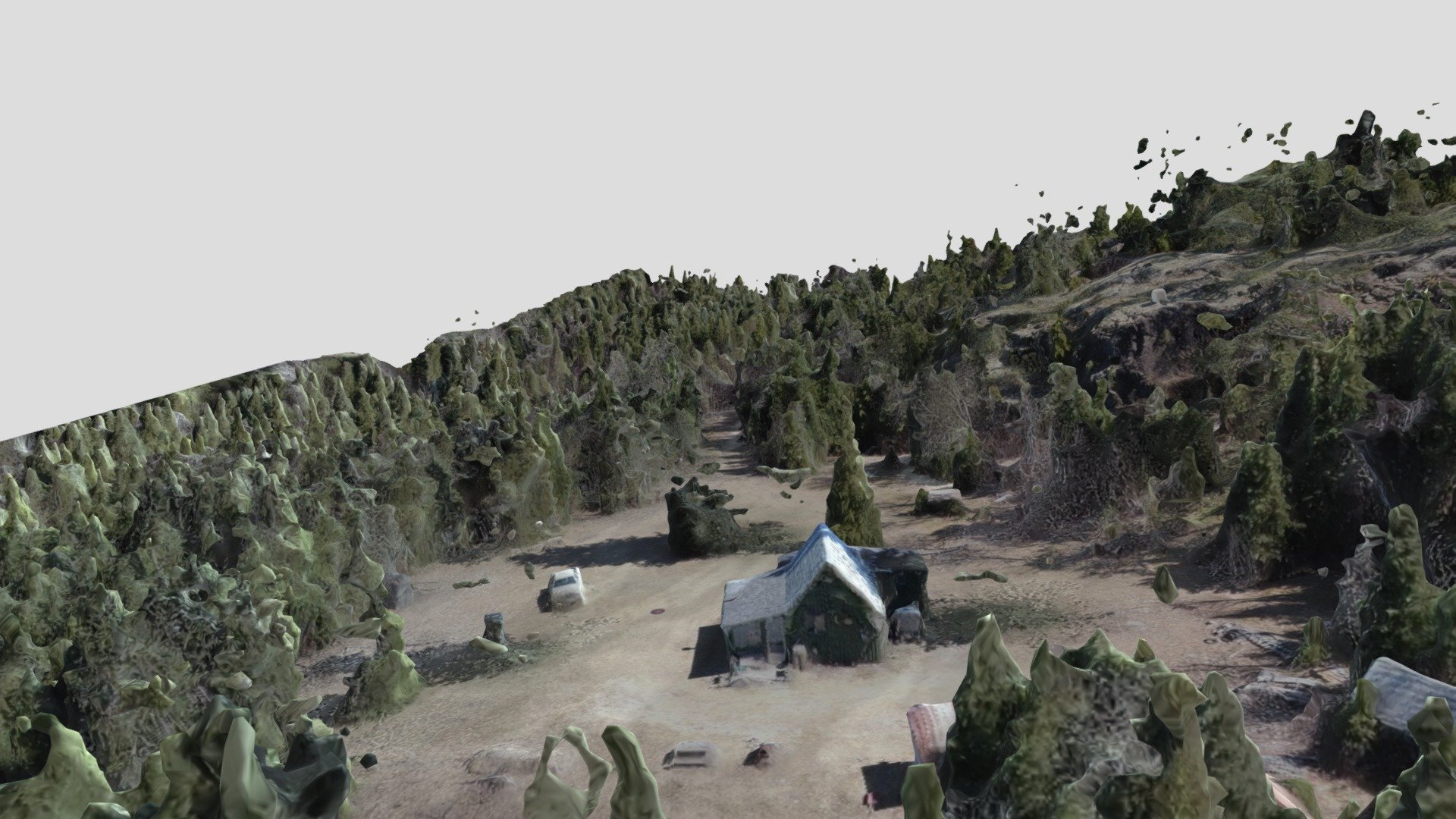 Mom and Dads Camp