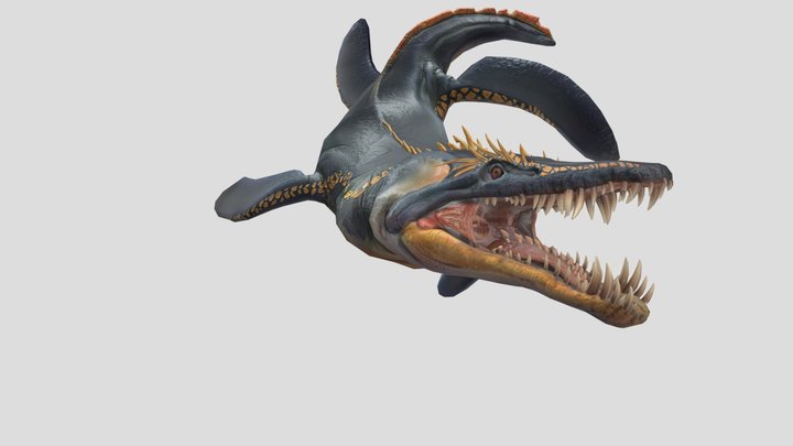 Pliosaur (4) 3D Model