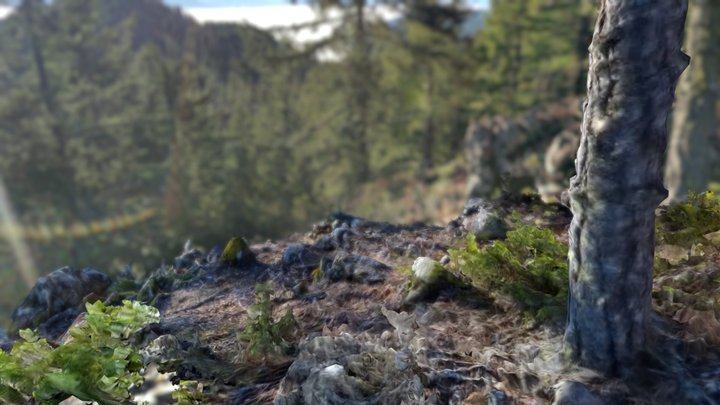 Oregon Trail - Overlook 1 3D Model
